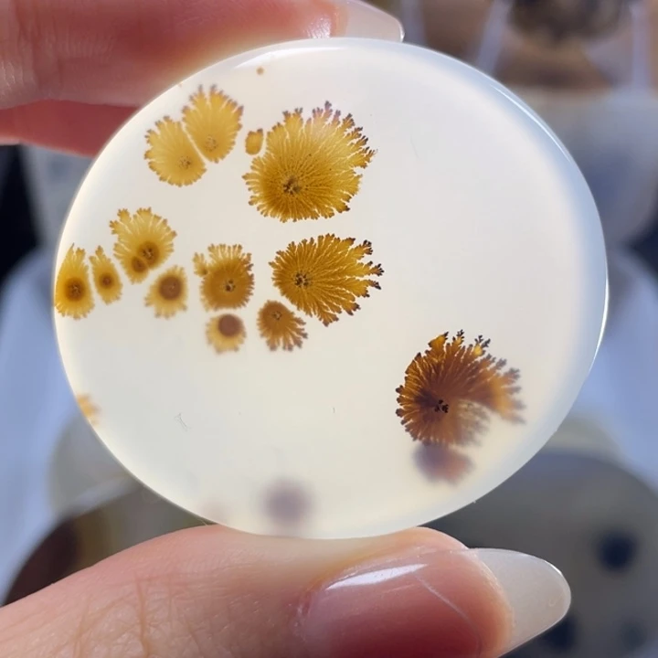 玛瑙/玉髓未镶嵌牌子