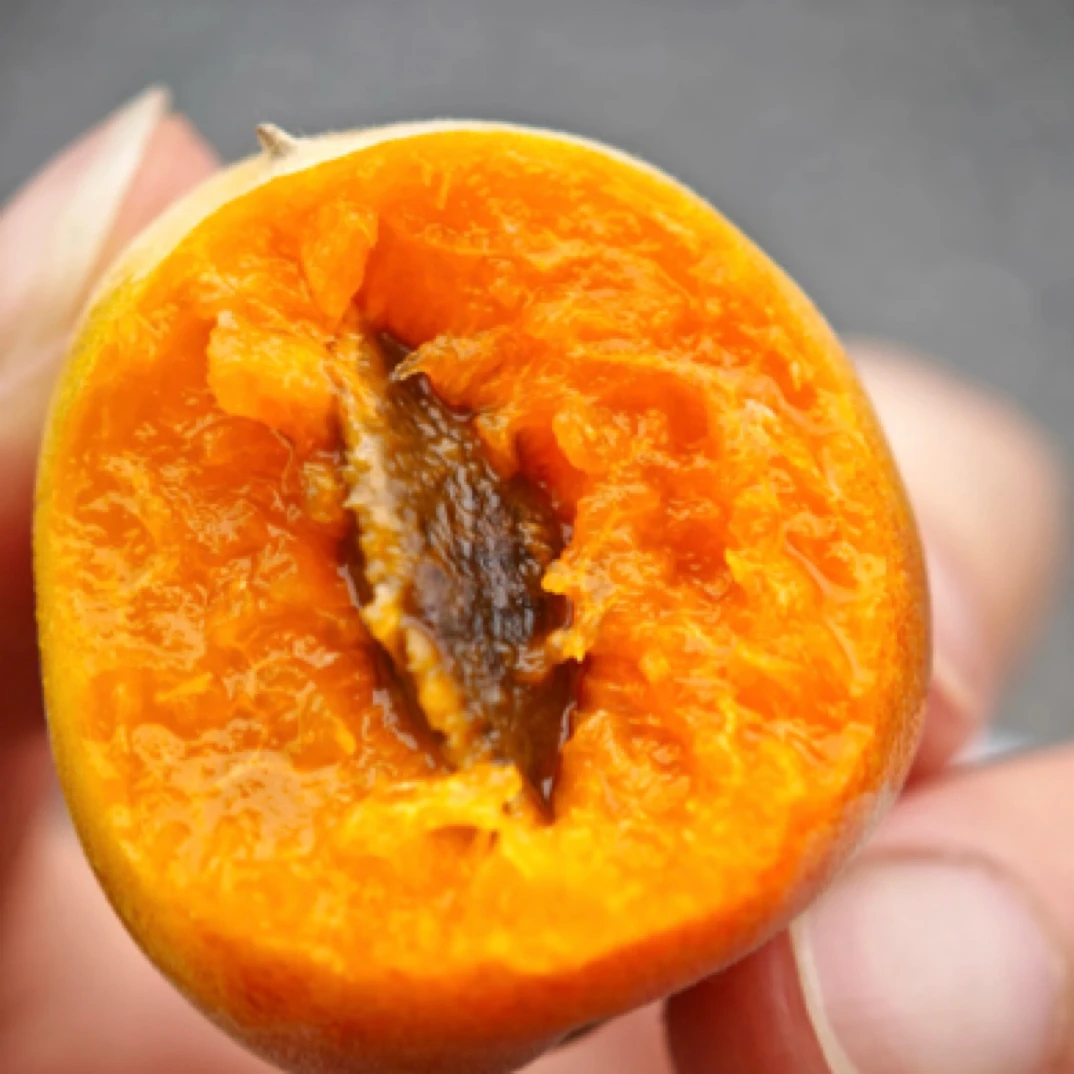 （次日达）新疆伊犁吊干杏大纯甜无酸明天到新疆维吾尔自治区