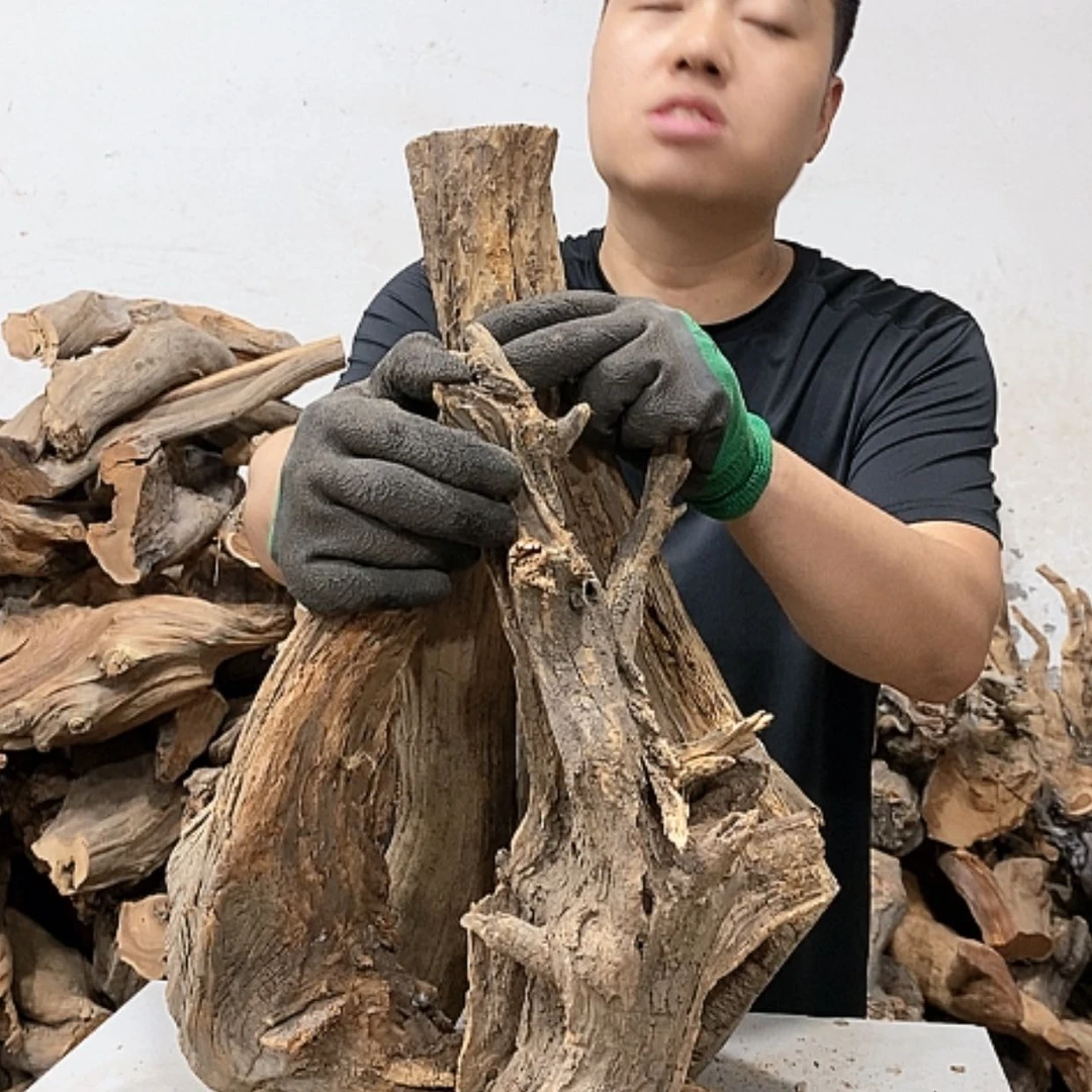 【闪购商品】柏木静**芦我们都是好孩子