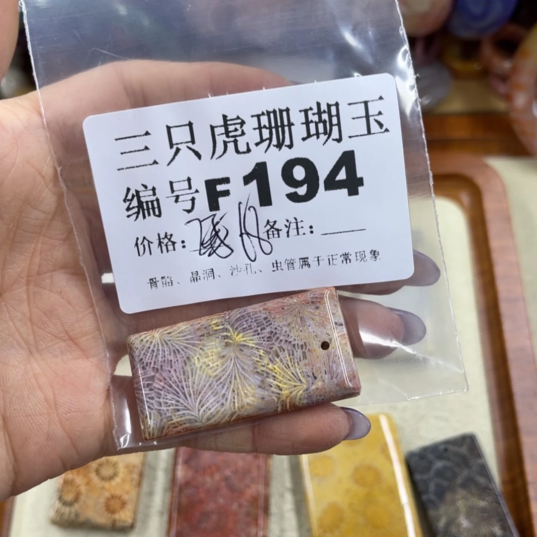 小***画未镶嵌h硅化珊瑚（珊瑚玉）