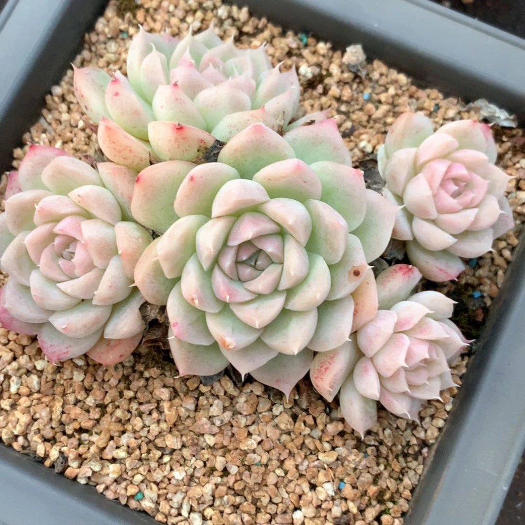 5802瑕疵不售后特价处理