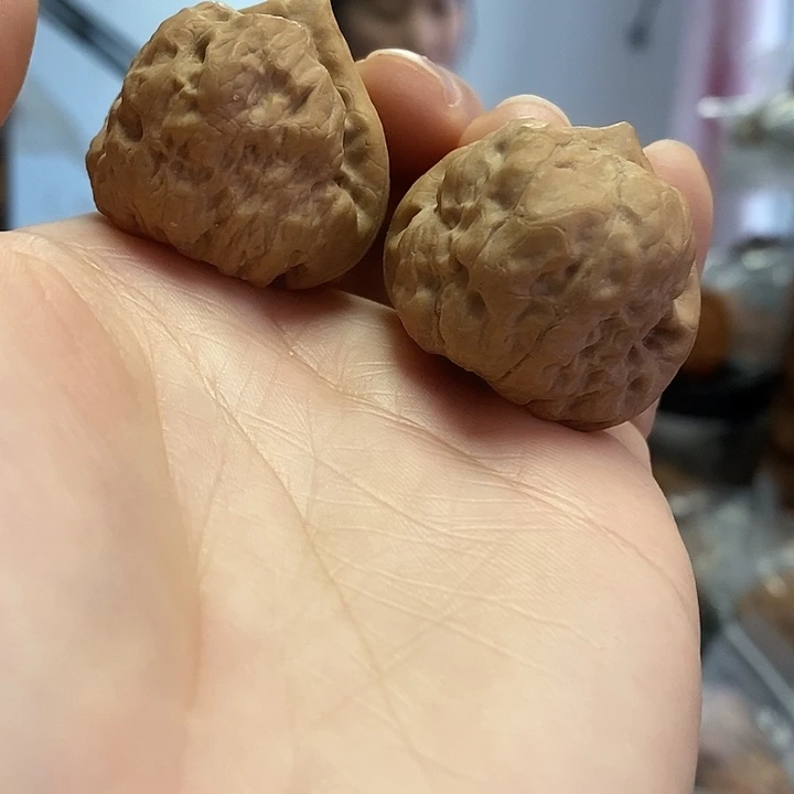 文玩核桃把件34.5三角古蝉