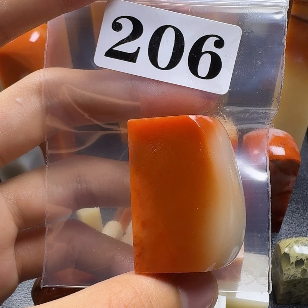 老挝石龟*人jkkkkkmkkkmmm