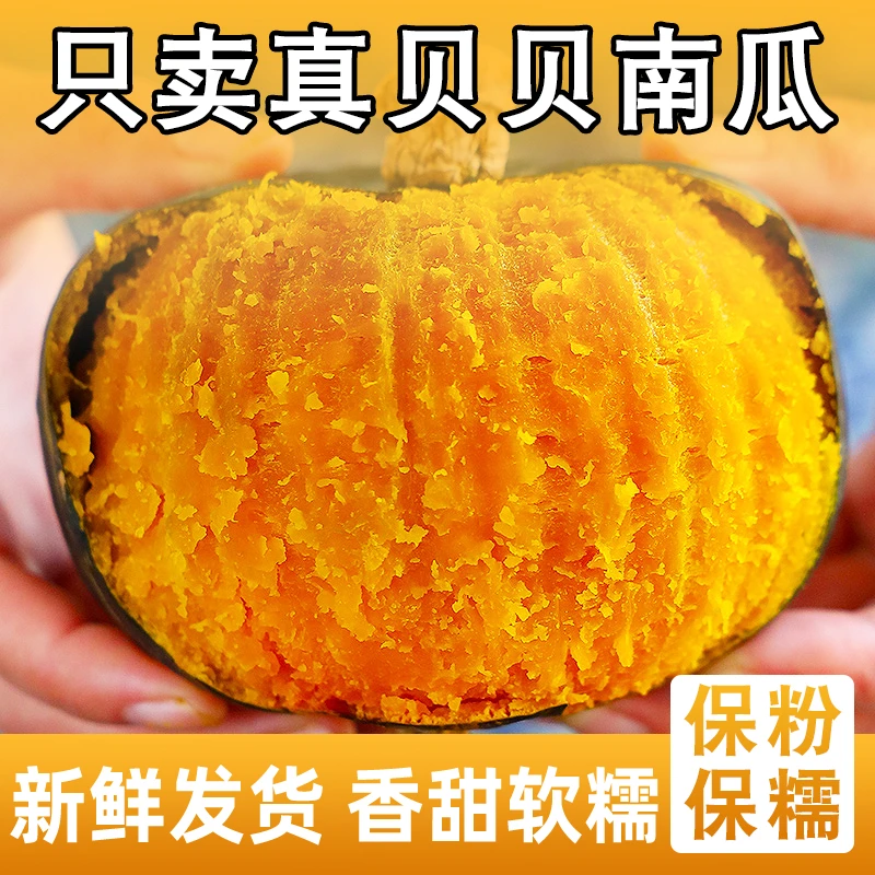 正宗贝贝南瓜粉糯香甜细腻板栗味新鲜美味适合孕妇宝宝辅食代餐