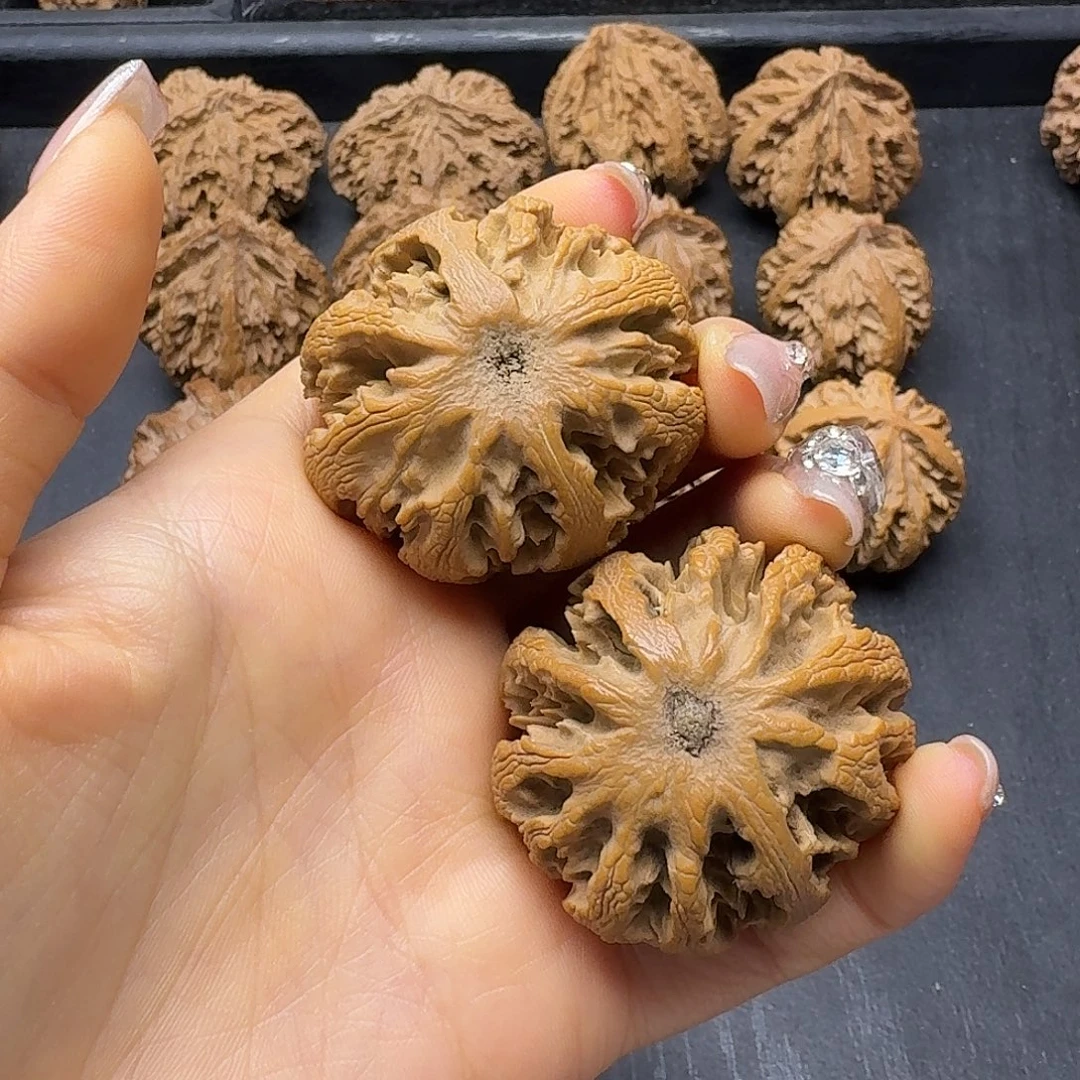 非***是木质突突突突突突突