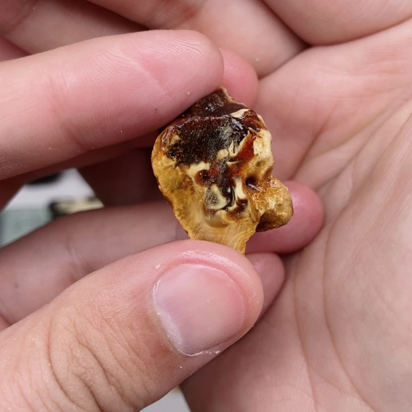 【闪购商品】定制琥珀未镶嵌?****底蜜蜡