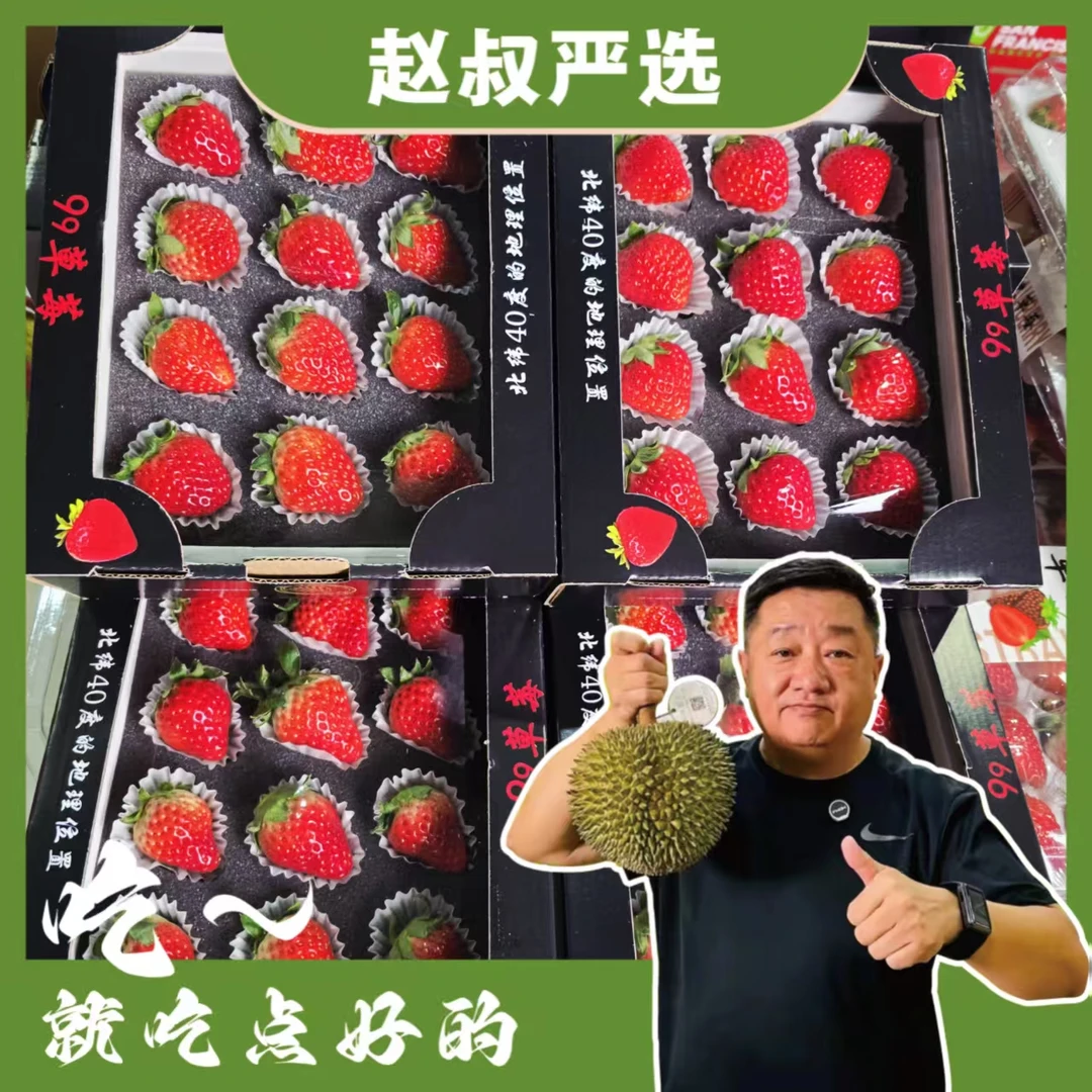 【赵叔严选】丹东99草莓新鲜现摘 11/15粒（200-250g）鲜果现发