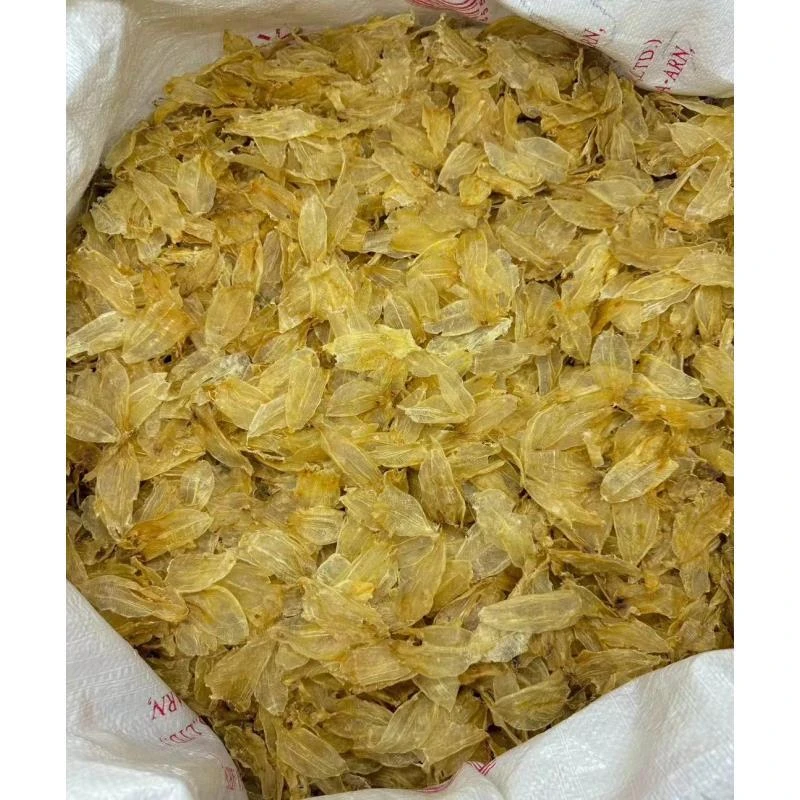 好货小白花胶200克