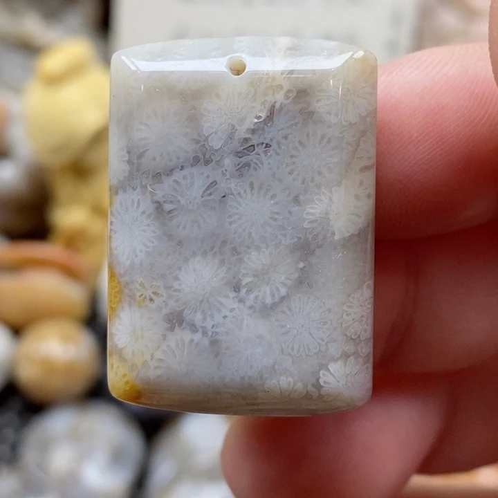 颈饰未镶嵌硅化珊瑚（珊瑚玉）有瑕 小