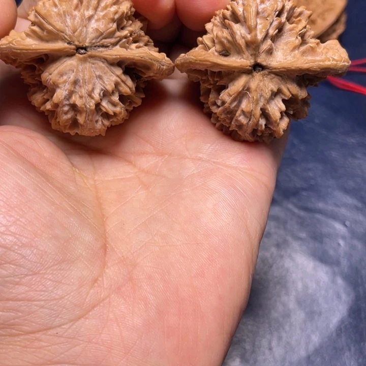 核桃手串/手链秦核