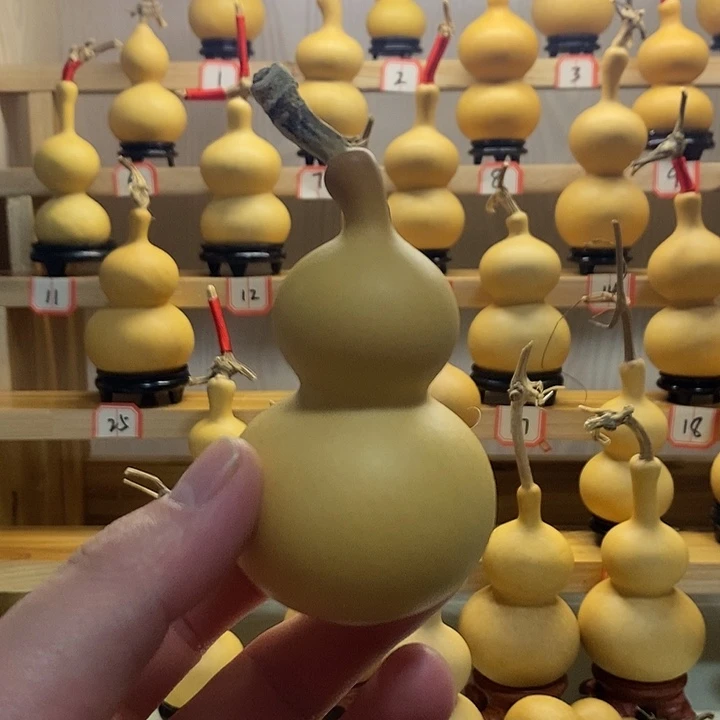 八宝葫芦，厚皮满籽