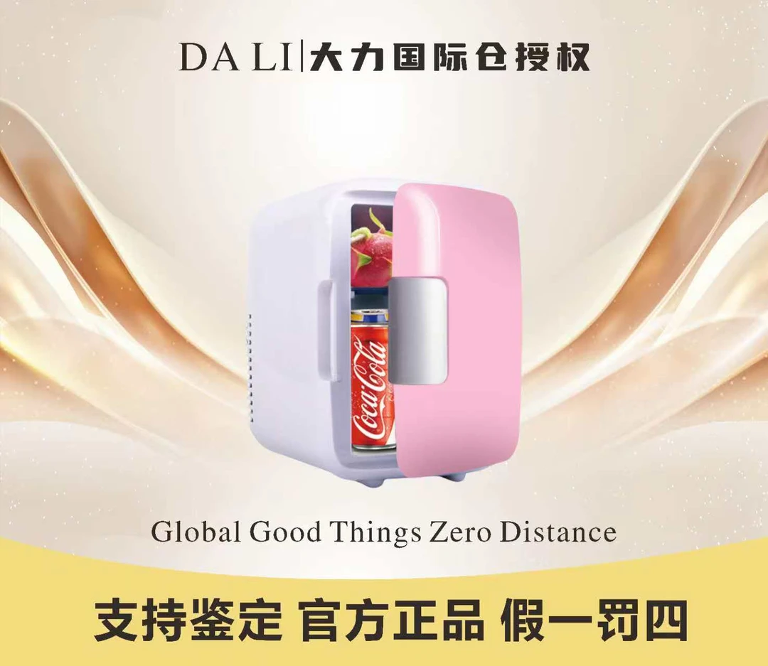 车载冰箱车家两用制冷迷你12V小型颜色随机