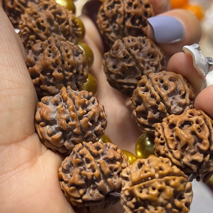 大果紫檀（缅甸花梨）1.2黄珠