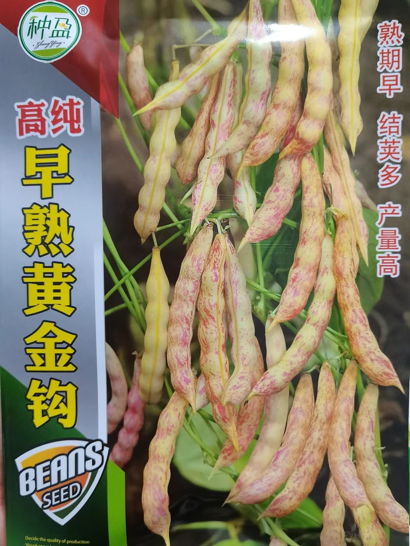 早熟黄金勾豆角种子