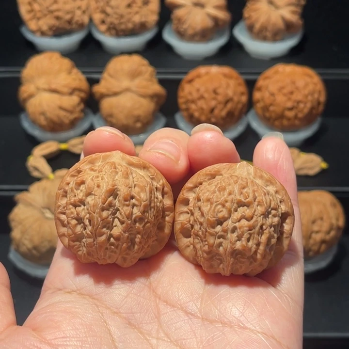 全品，精品，35.8血麒麟106