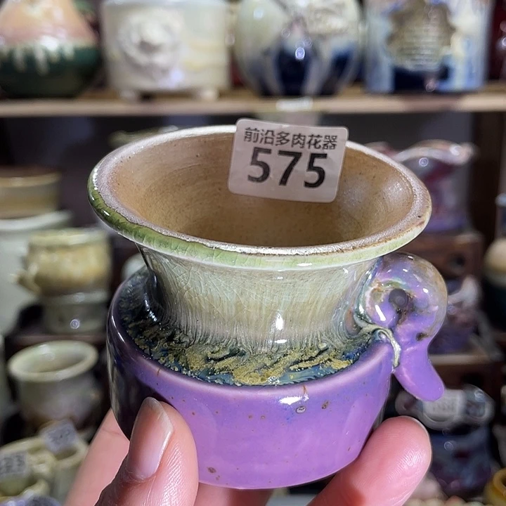 狼盆内口径6高度6