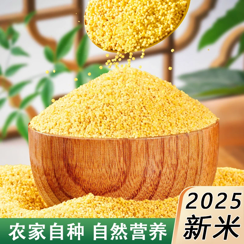 山西阳曲泥屯25年新米黄小米煮小米粥米油厚月子米杂粮粗粮2/5斤