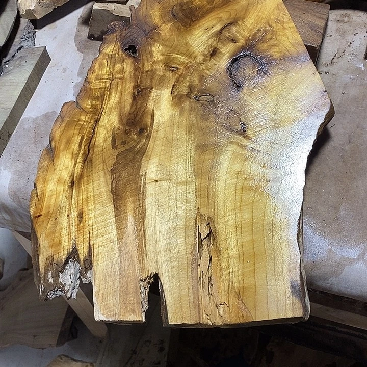 金丝楠木小叶桢楠木