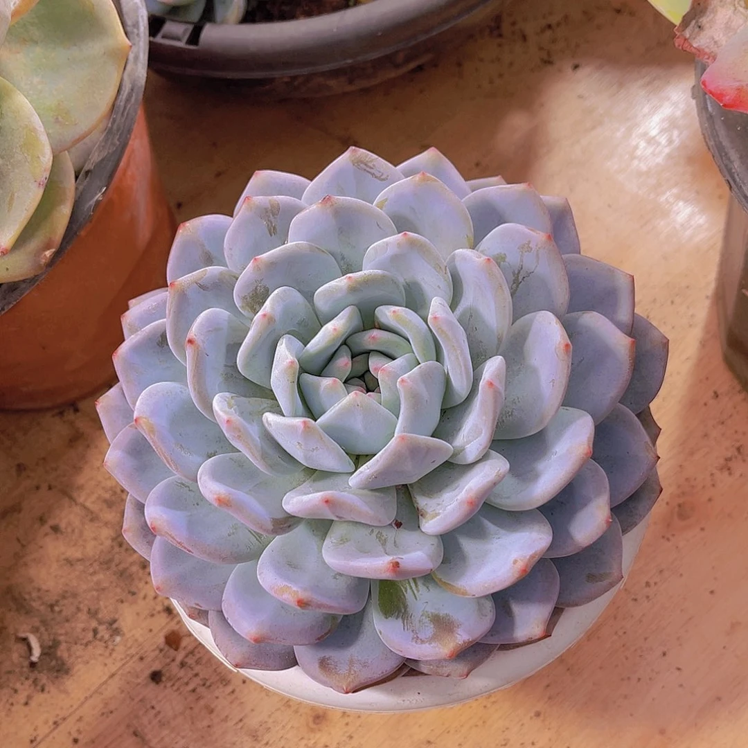 缘*。00000000000202