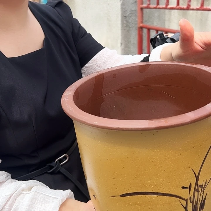 花盆花盆花盆花盆184