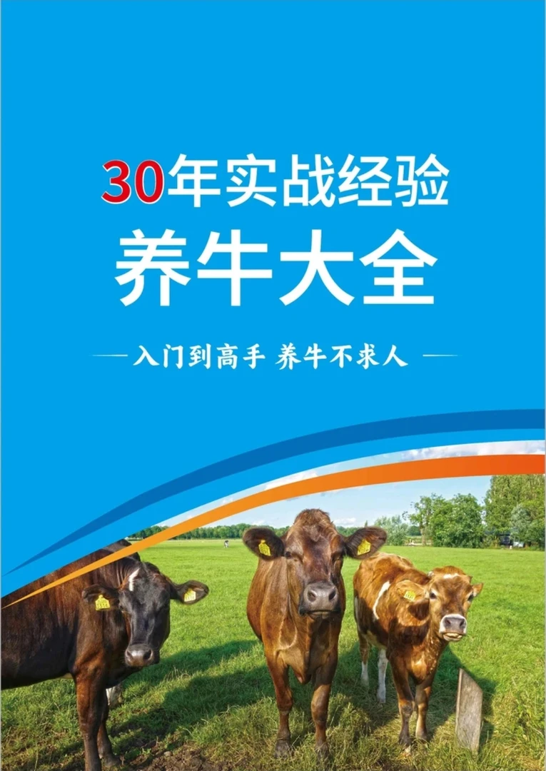从入门到高手 零基础添加剂养好牛 养牛必备