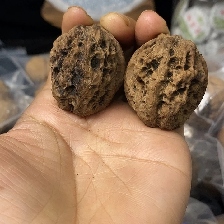 核桃云南铁核桃基地88