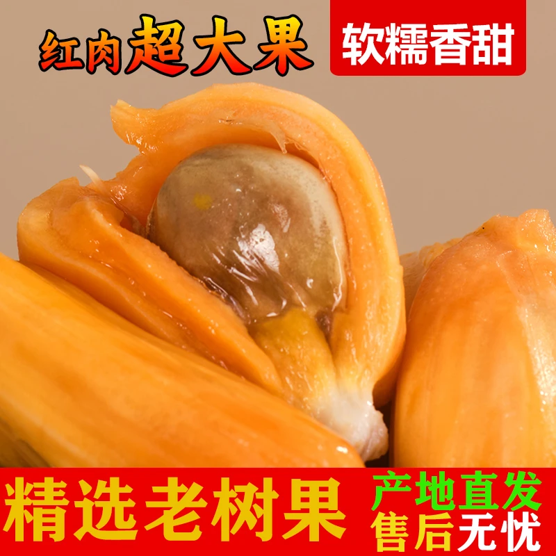 【直播挑选】正宗海南5号红肉菠萝蜜泰8干苞新鲜热带水果波罗蜜