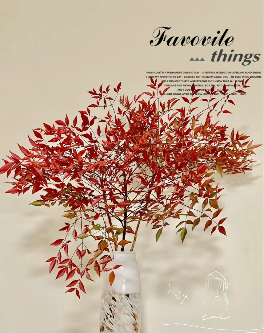 【南天竹】鲜切枝--高端水培绿植居家软装轻奢高端摆件