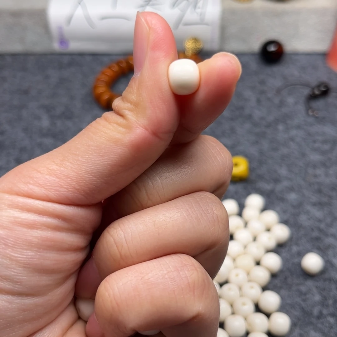 鹿骨其他人工养殖驼骨3