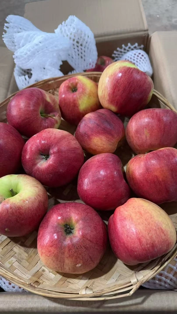 5斤云南红露苹果中大果【顺丰包邮】新鲜采摘 坏果包赔sz