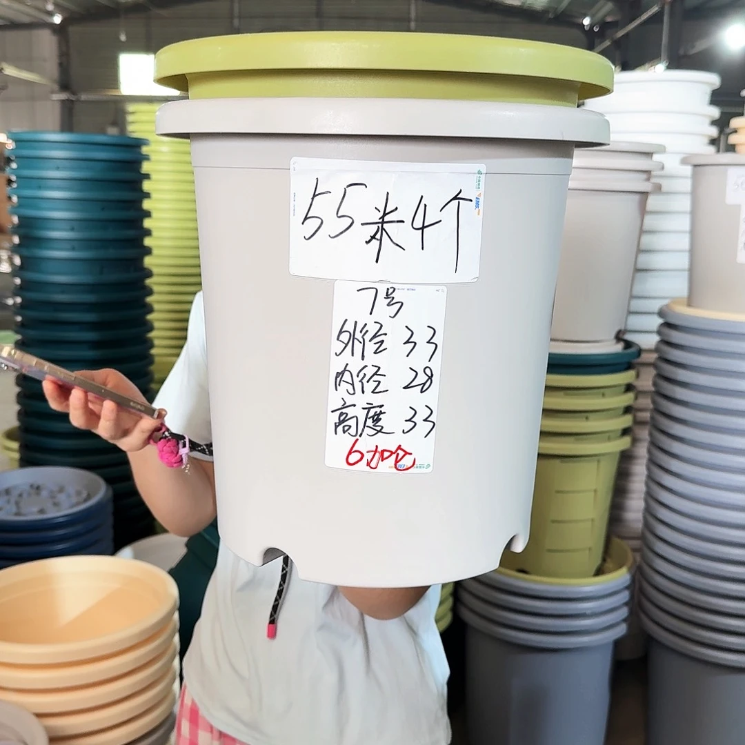 微瑕7#无拖果绿色4个