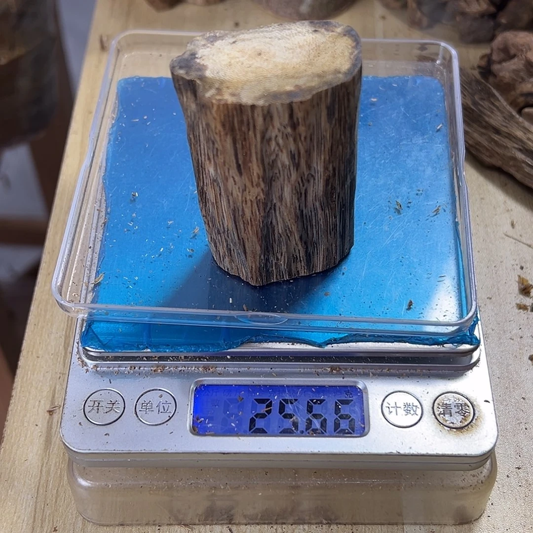 香料绿奇楠虫漏25克乌身