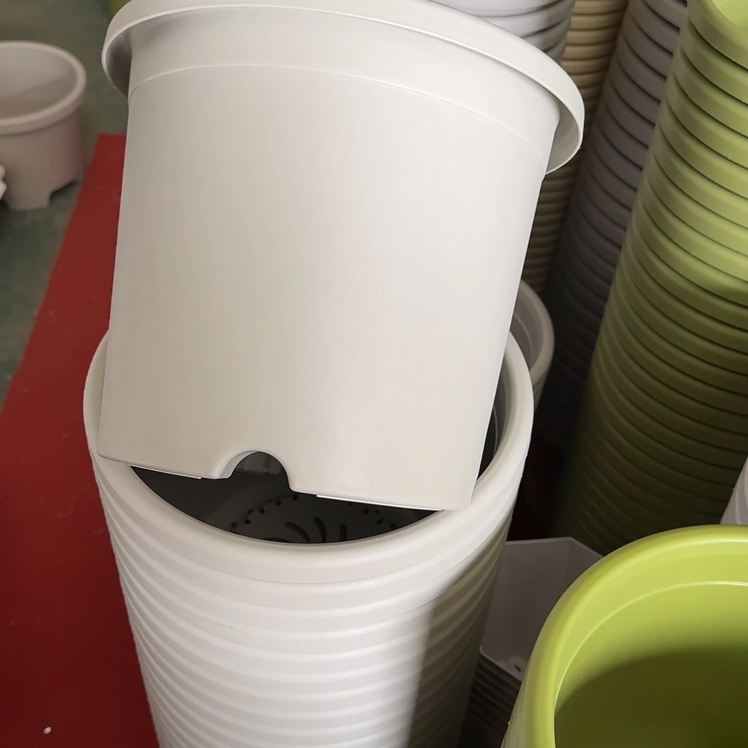 树脂四季5号无托6个灰白微瑕