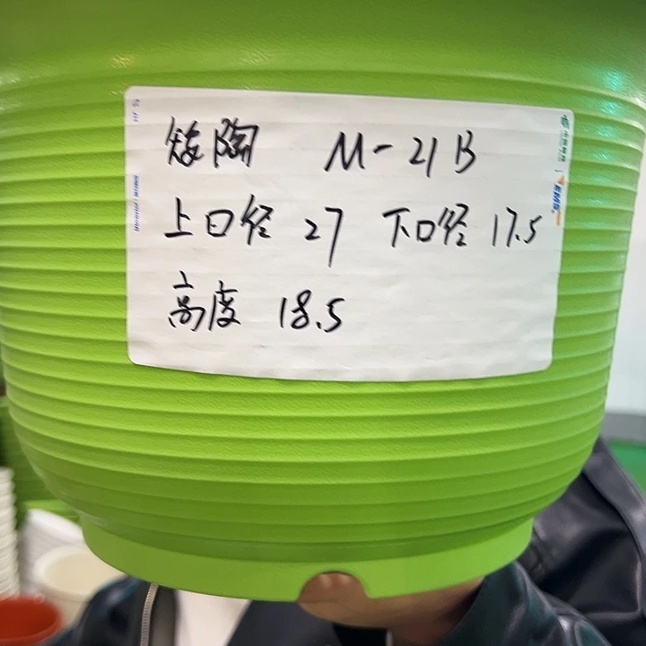 正品矮陶口27高18白色6只无托