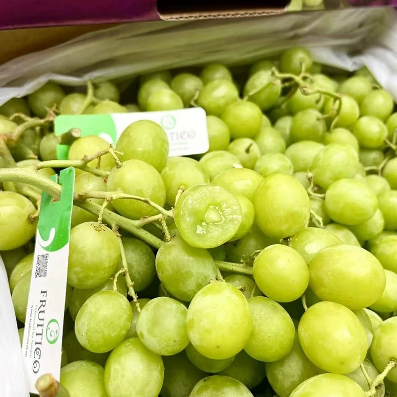 【小虎鲸甜地球】进口青提脆甜无籽提子进口甜地球葡萄新鲜水果包邮无籽提