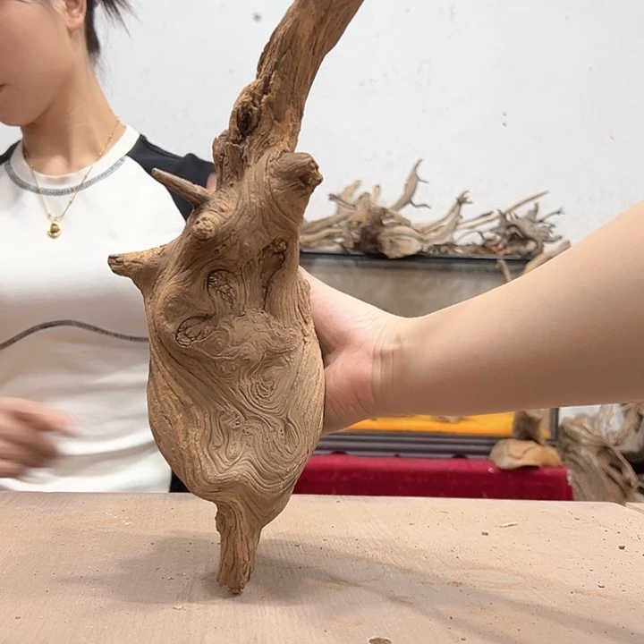 柏木钨**1我们的生活也是