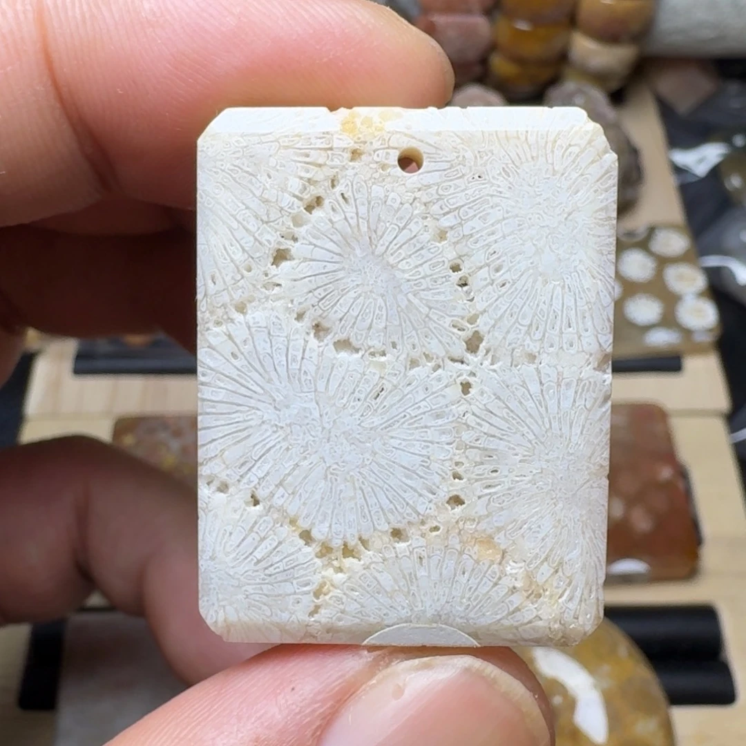 硅化珊瑚（珊瑚玉）未镶嵌纯天然色有机玉石保真色
