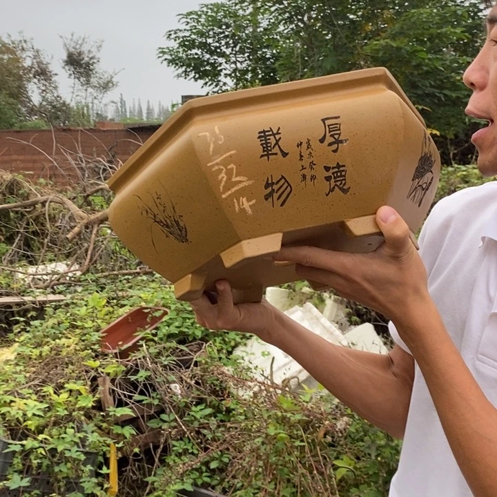 紫砂花盆没有什么不可以的事情