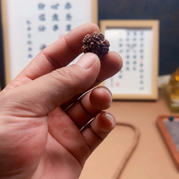 金刚菩提吊坠19尺寸原生态霸王花