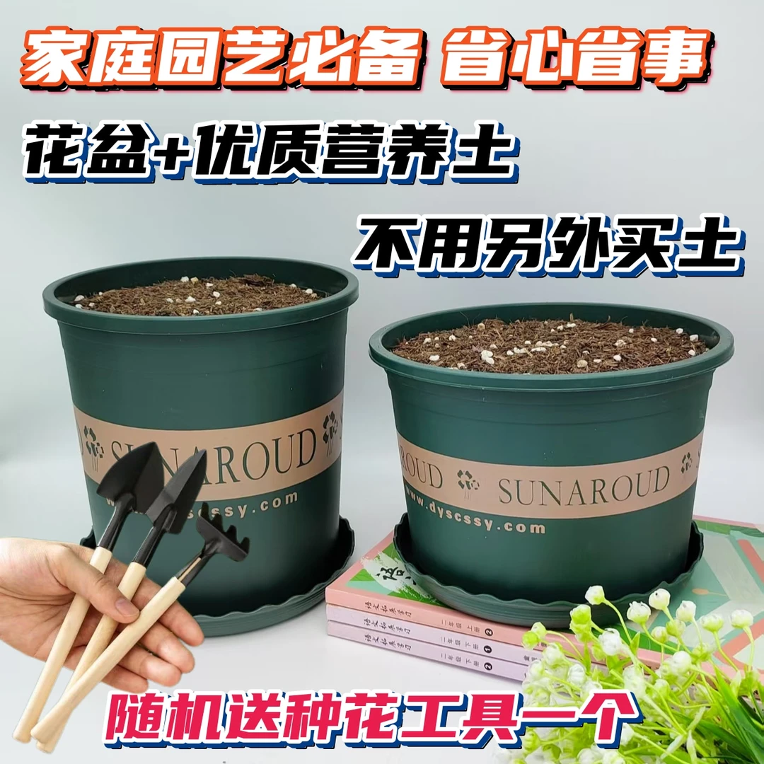 花盆带营养土加仑盆送土塑料盆和泥土种蔬菜绿植花卉月季多肉通用