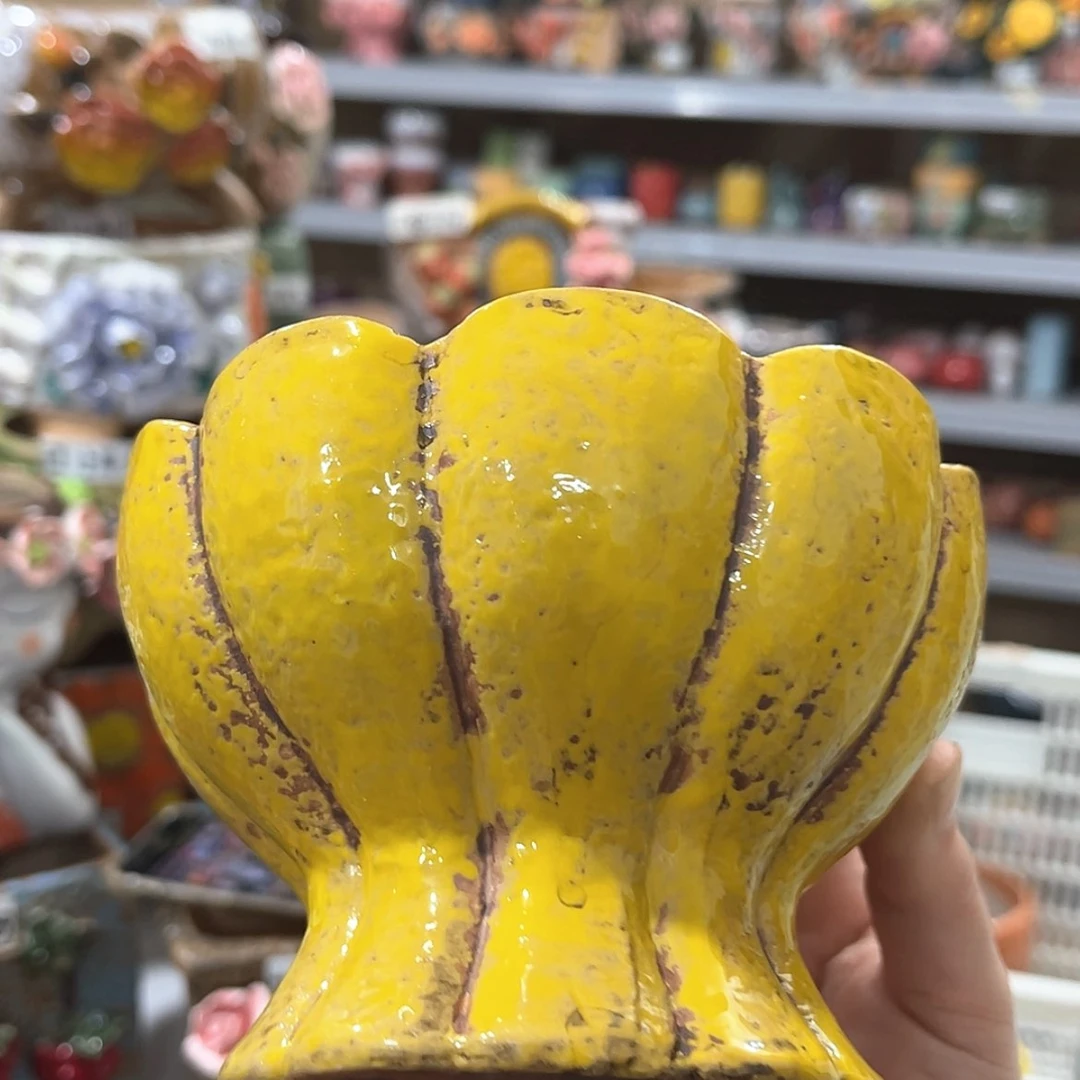 【闪购商品】红陶福利