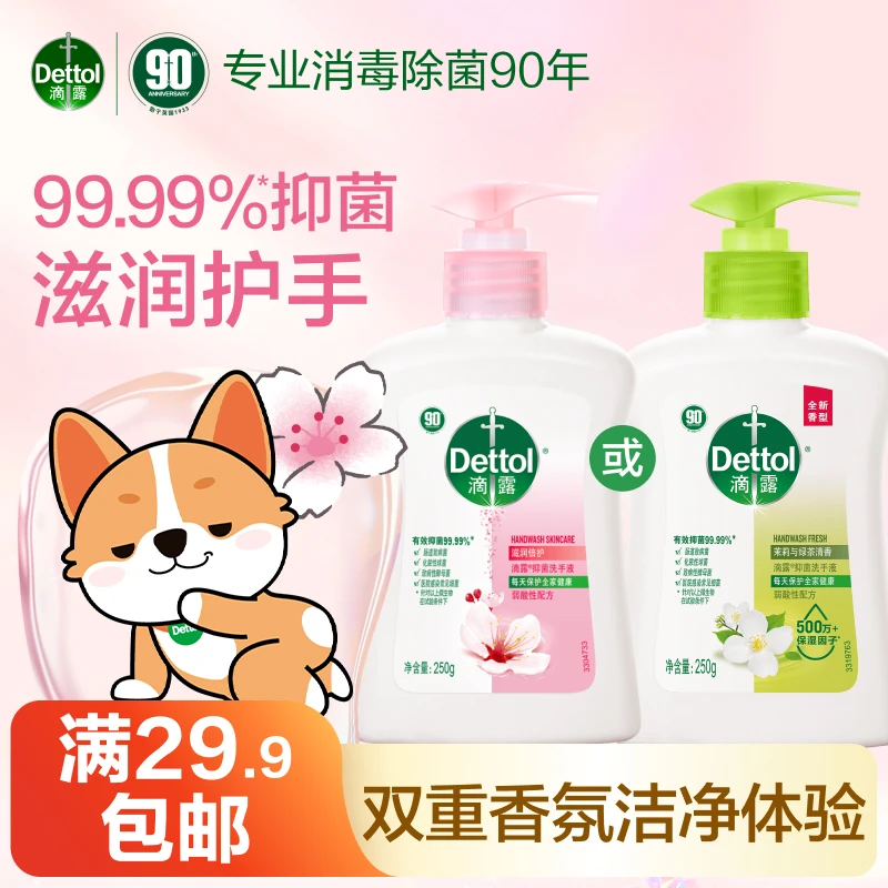 滴露洗手液250g抑菌儿童大人可用家用抑菌清洁滋润护手正品