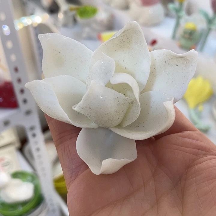陶瓷微瑕介意慎拍