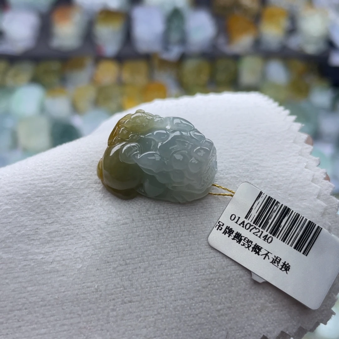 翡翠未镶嵌颈饰貔貅4