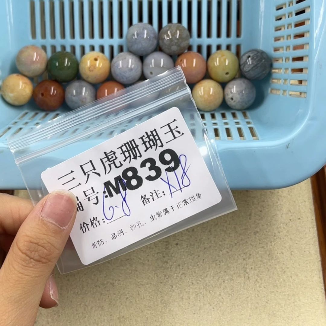 脆***猫硅化珊瑚（珊瑚玉）h未镶嵌