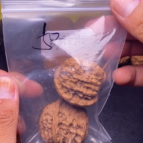 【闪购商品】把件文玩核桃?**生白狮子