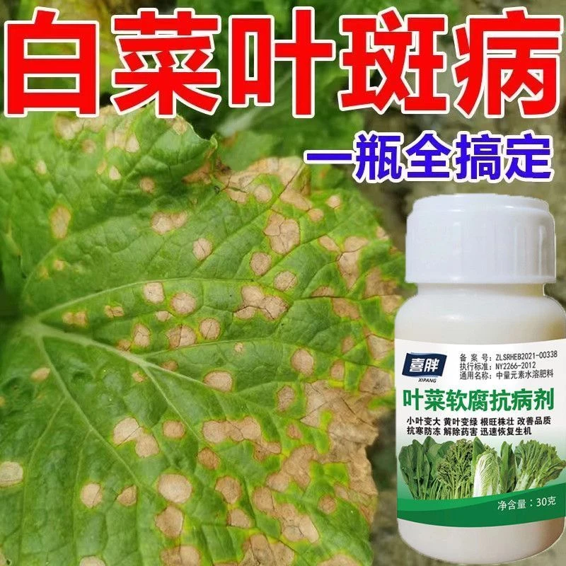 白菜叶斑专用肥白菜全治大白菜黄叶烂叶黑斑软腐病专用