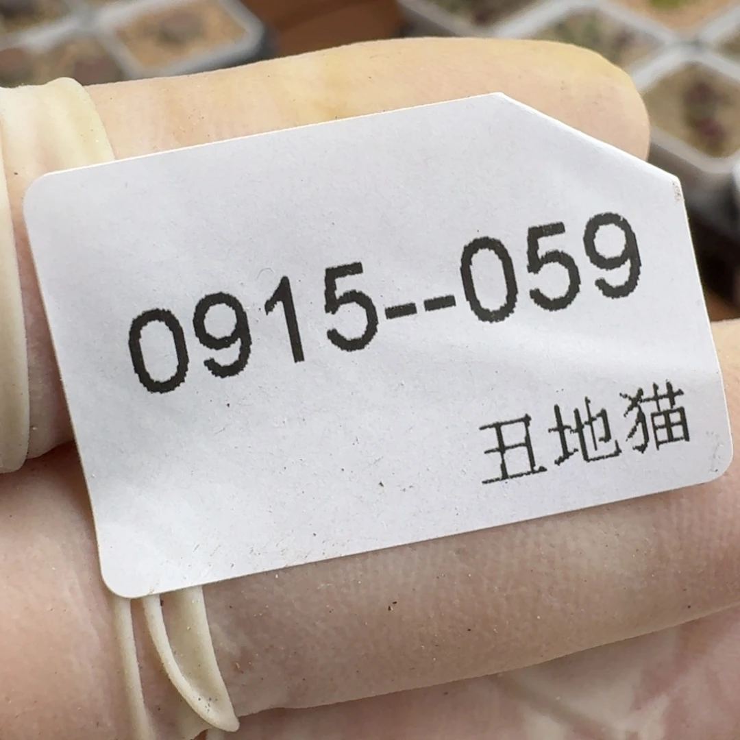 格***调0915-059卷卷卷卷卷