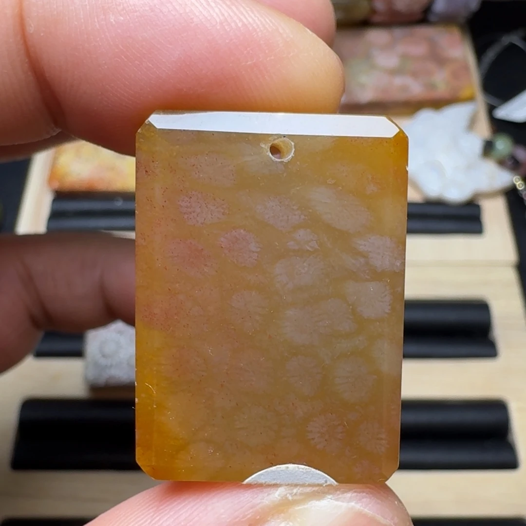 未镶嵌纯天然色有机玉石保真色硅化玉
