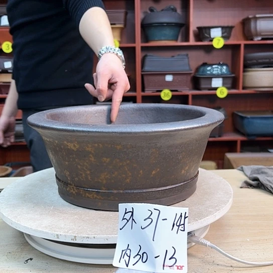 红陶葵****)紫砂花盆里都藏